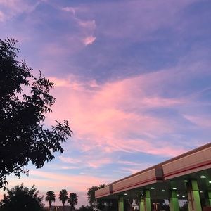 Meet your Posher, Sydney